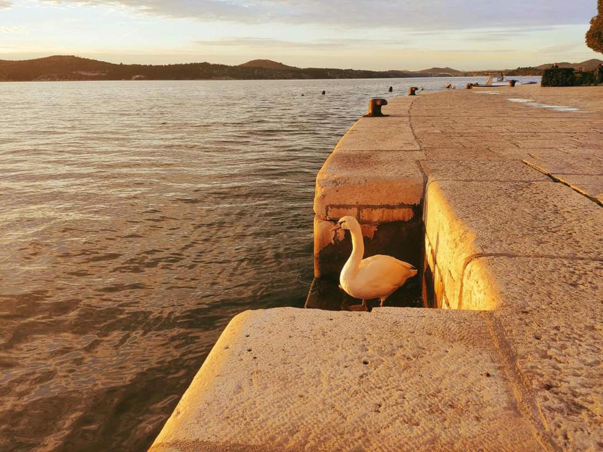 Urban Lights Hideaway - City Center Sibenik Šibenik Exterior foto